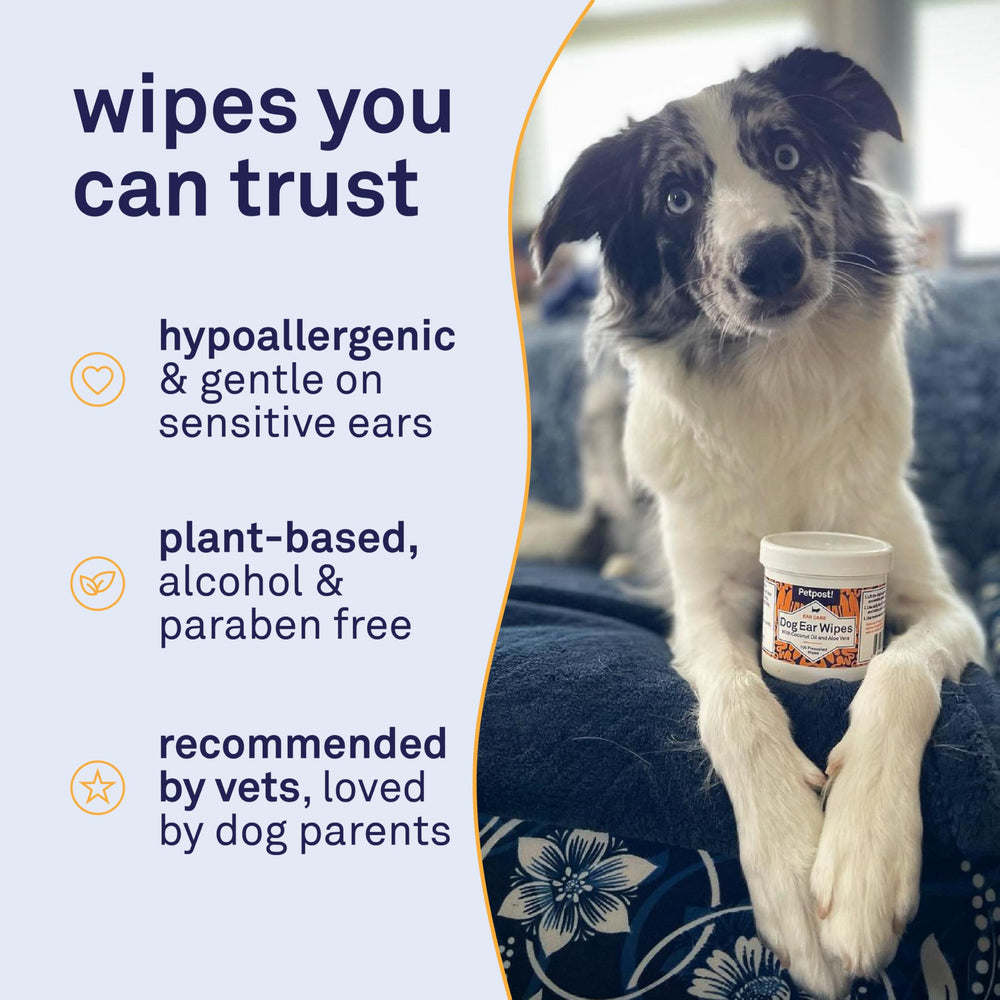 Petpost Wipes on dog ear during cleaning demonstrating easy application