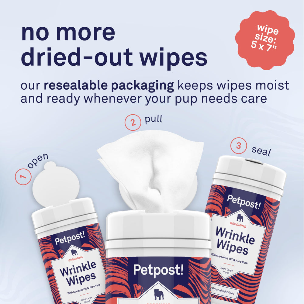 Petpost wrinkle wipes on a wrinkled dog muzzle demonstrating targeted cleaning