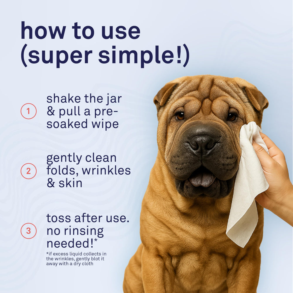 Petpost wrinkle wipes eco-packaging highlights recyclable materials