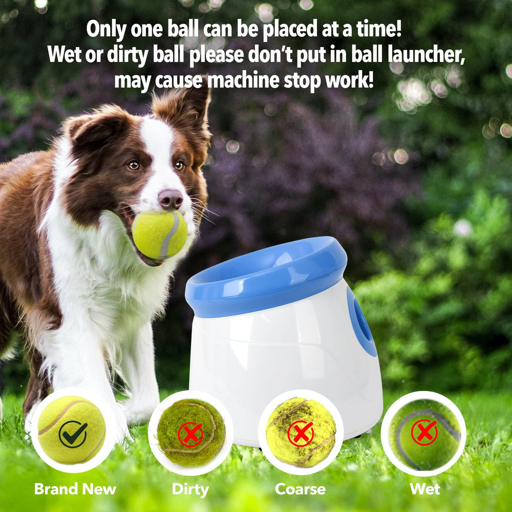 PetPrime adapter and battery options provide flexible power for ongoing play.