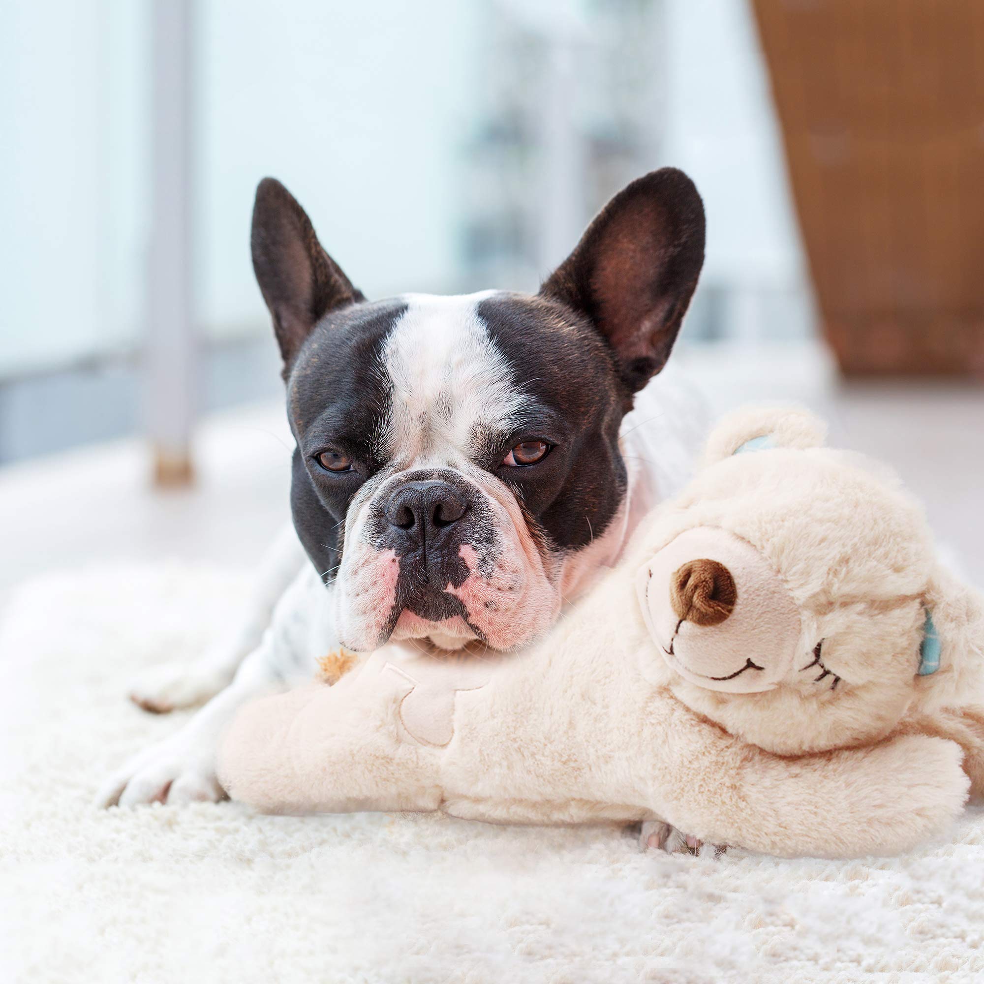 Pet Prime crate-ready sleep buddy plush for calming bedtimes