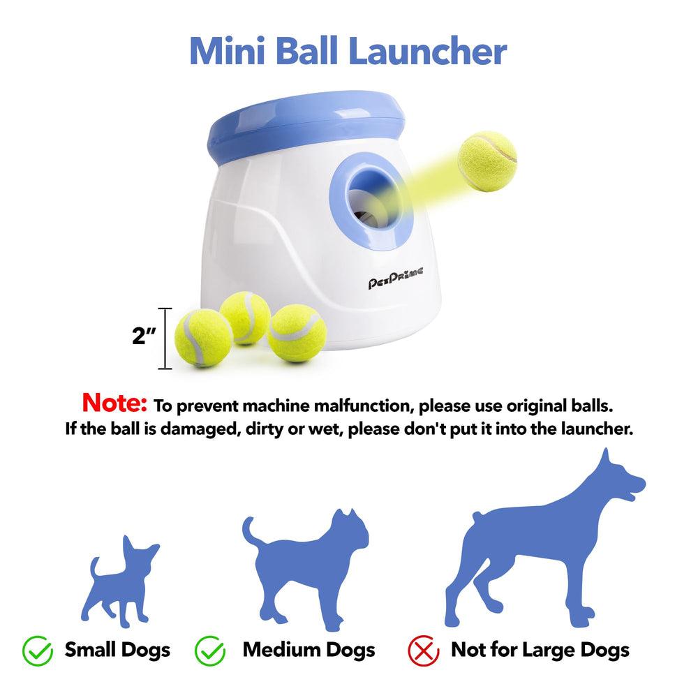 PetPrime indoor-outdoor utility supports dogs of varying ages with engaging fetch.