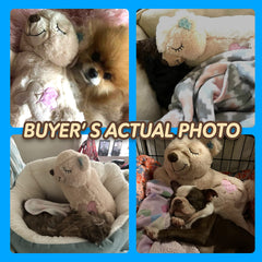 Pet Prime heartbeat-puppy plush demonstrates soothing heartbeat for dogs
