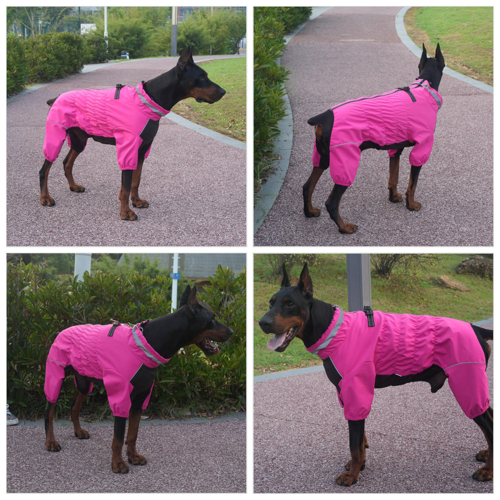 PetPromate elastic-chest-panel offers adjustable fit for various dog shapes