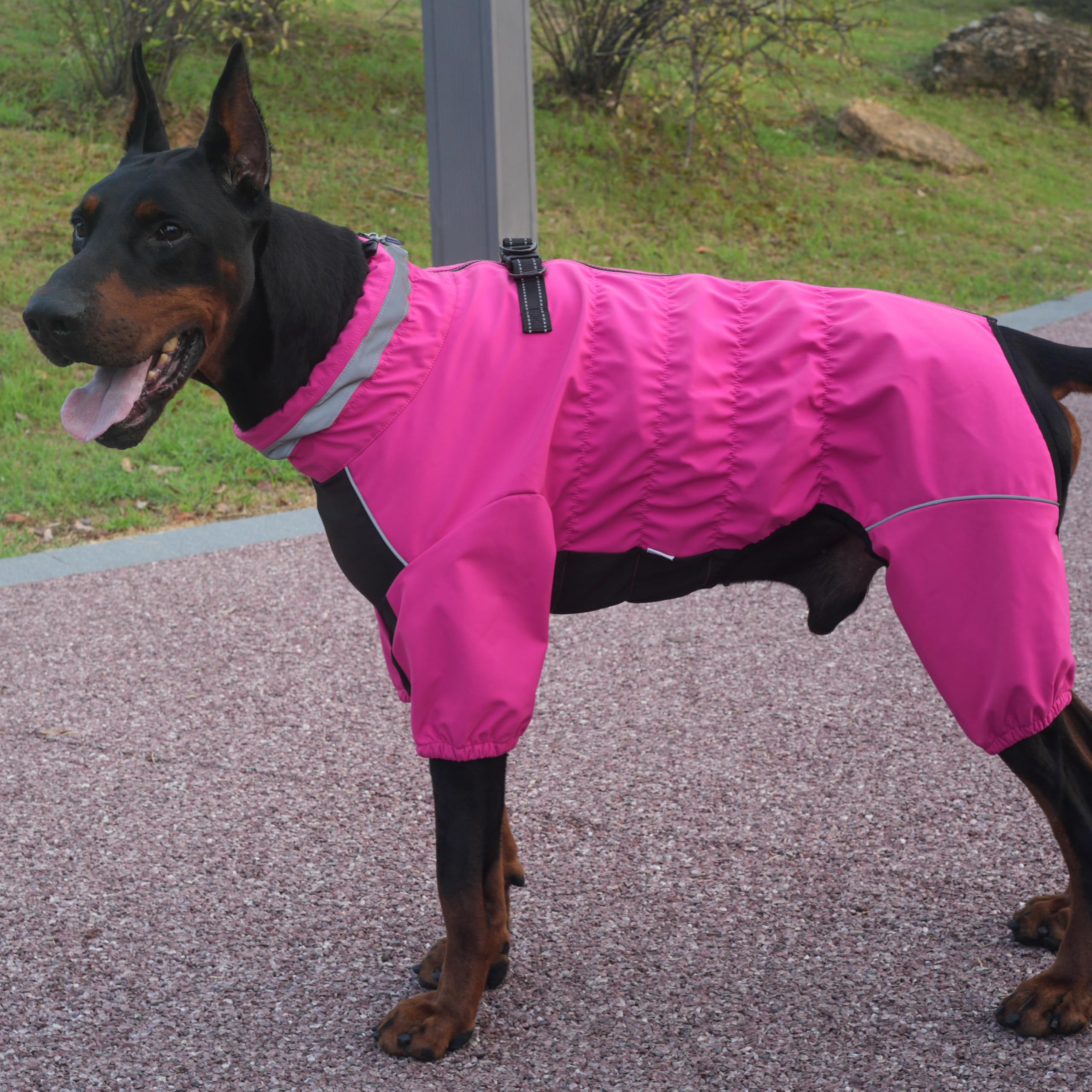 PetPromate hot-pink coat adds bold style to outdoor adventures