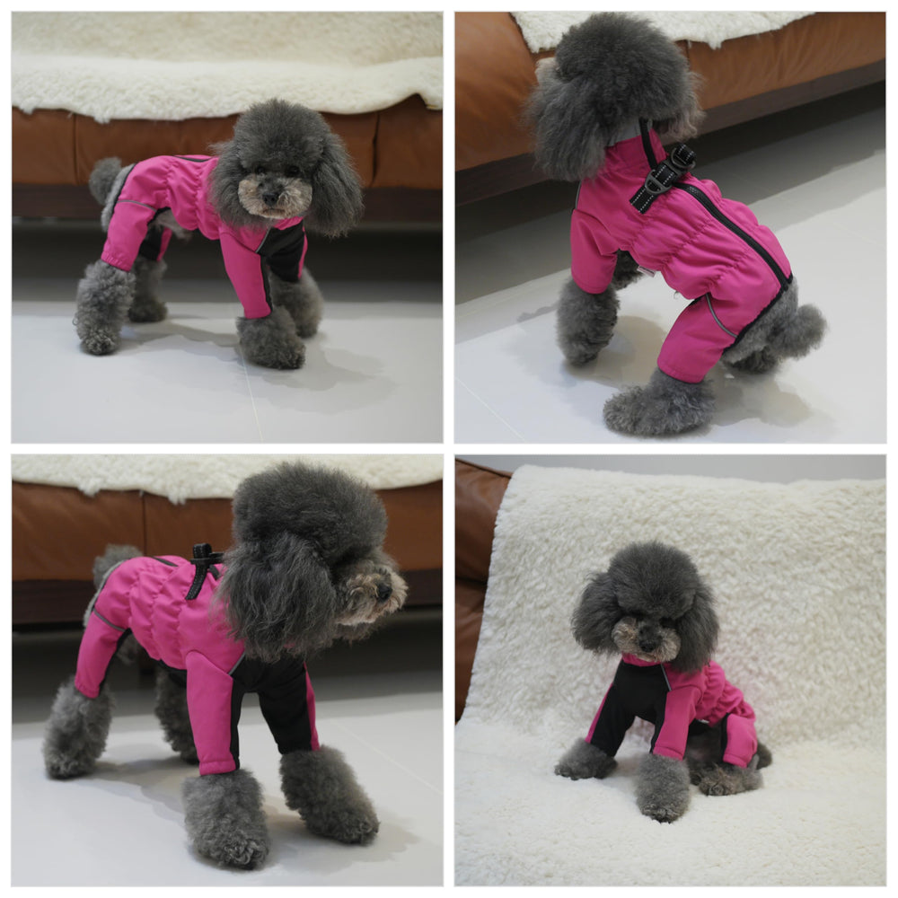 PetPromate reflective-trim boosts visibility during night-time strolls