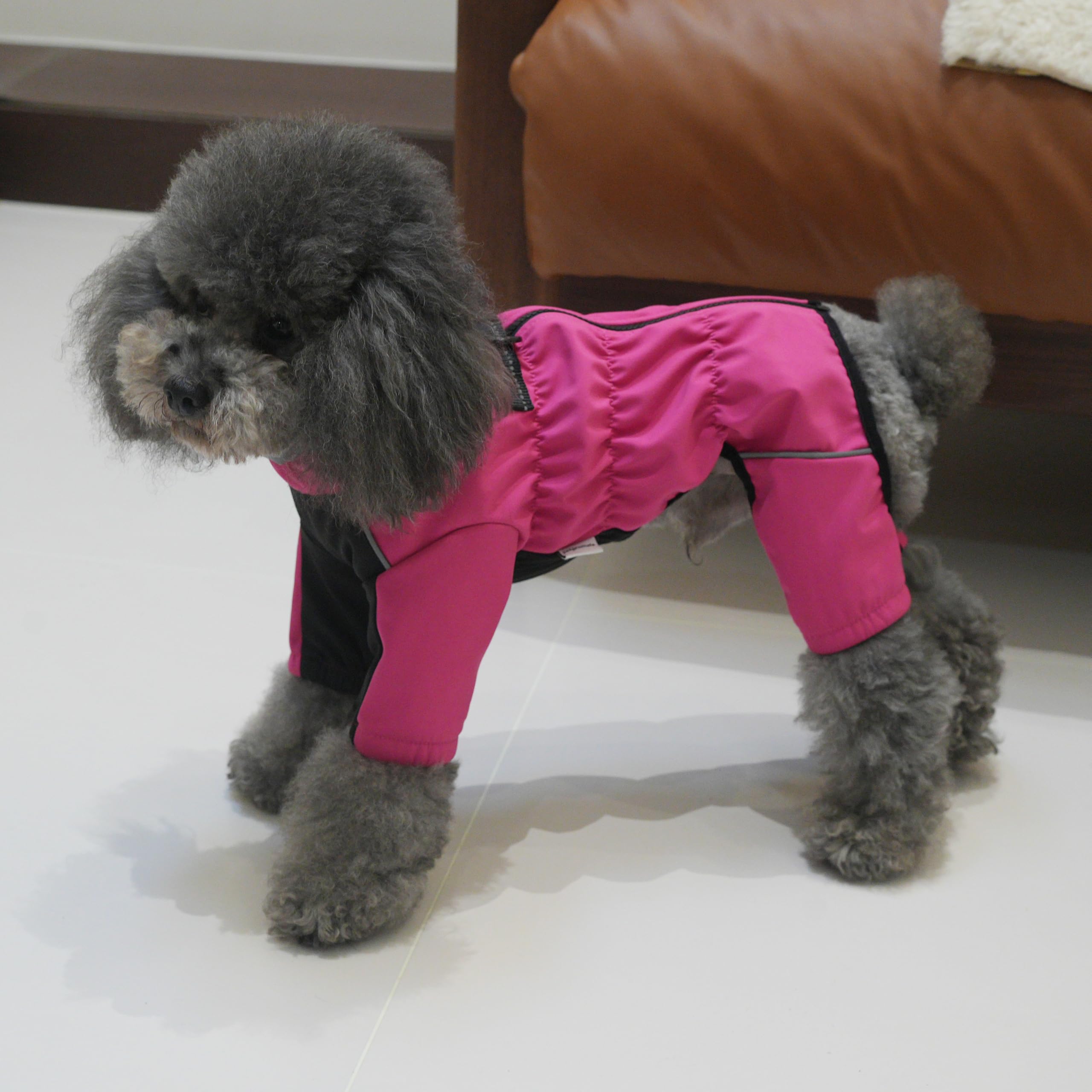PetPromate waterproof-windproof fabric shields against rain and wind