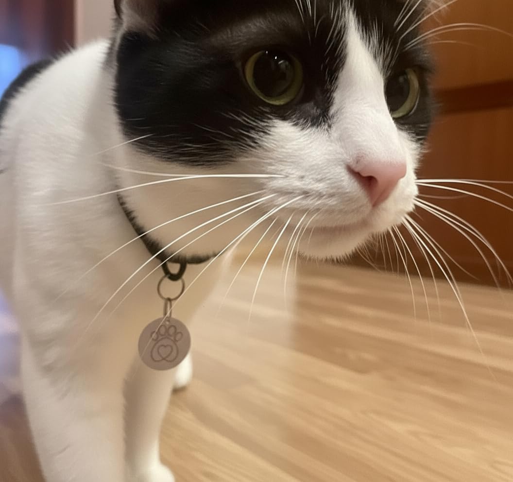 PETQUALITY SureFlap key fob with a unique code for each cat