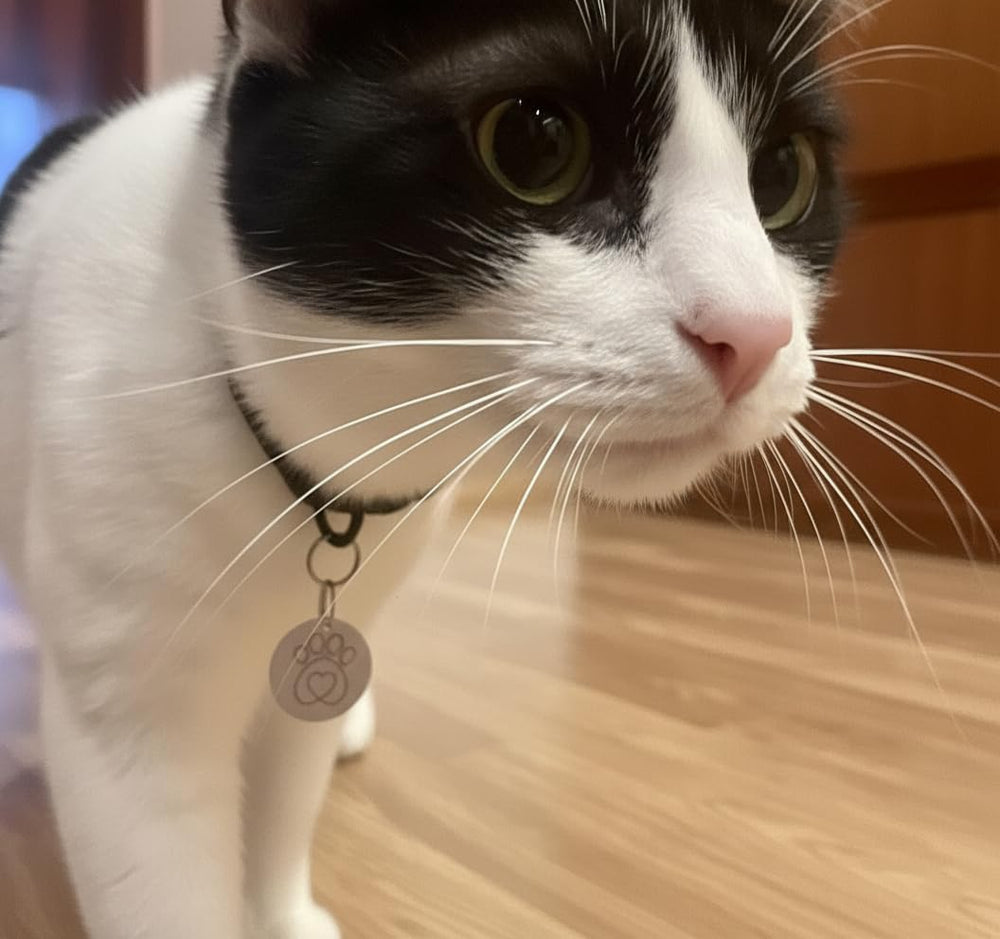 PETQUALITY SureFlap key fob with a unique code for each cat