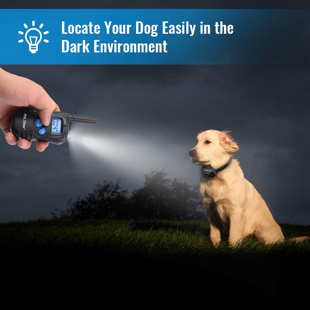Petrainer dog training in action shows versatile modes in real life use.