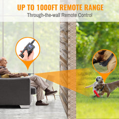 Petrainer dog collar enabling dual-dog control during backyard sessions.