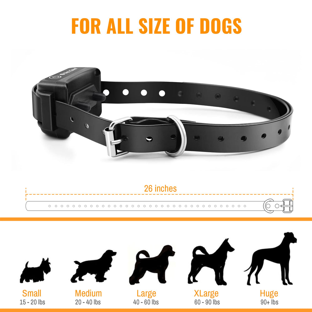 Petrainer collar training in park or backyard with 1000 ft range.