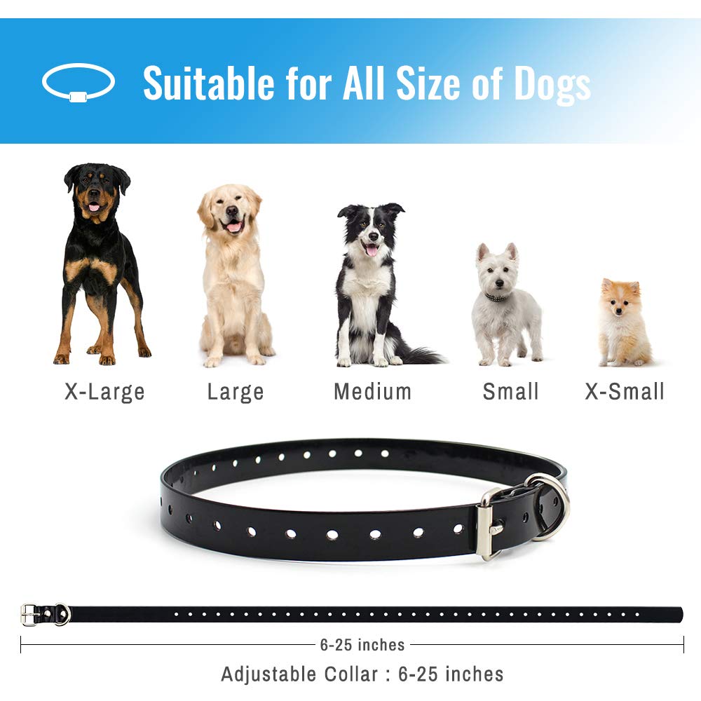 Petrainer rechargeable dog collar features easy charging for continuous training.