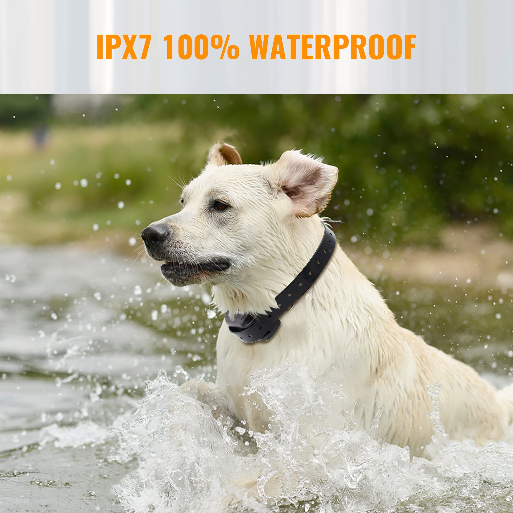 Petrainer waterproof receiver for training in rain or by poolside.