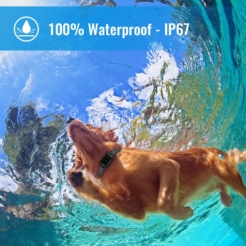 Petrainer waterproof receiver designed for all-weather dog training sessions.