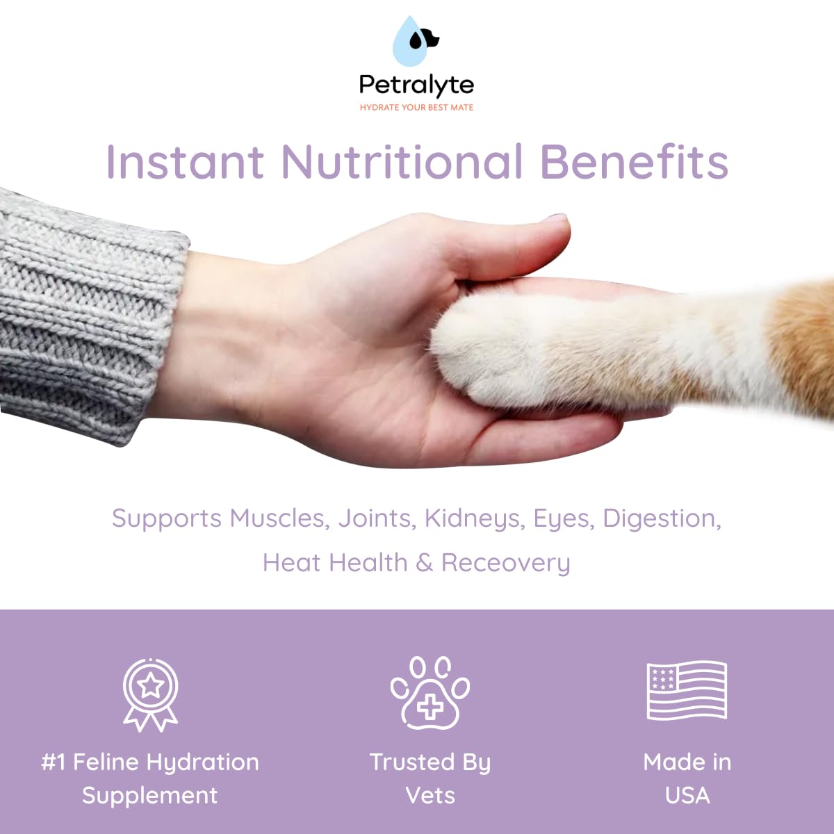 Petralyte cat joint support with glucosamine and chondroitin for mobility