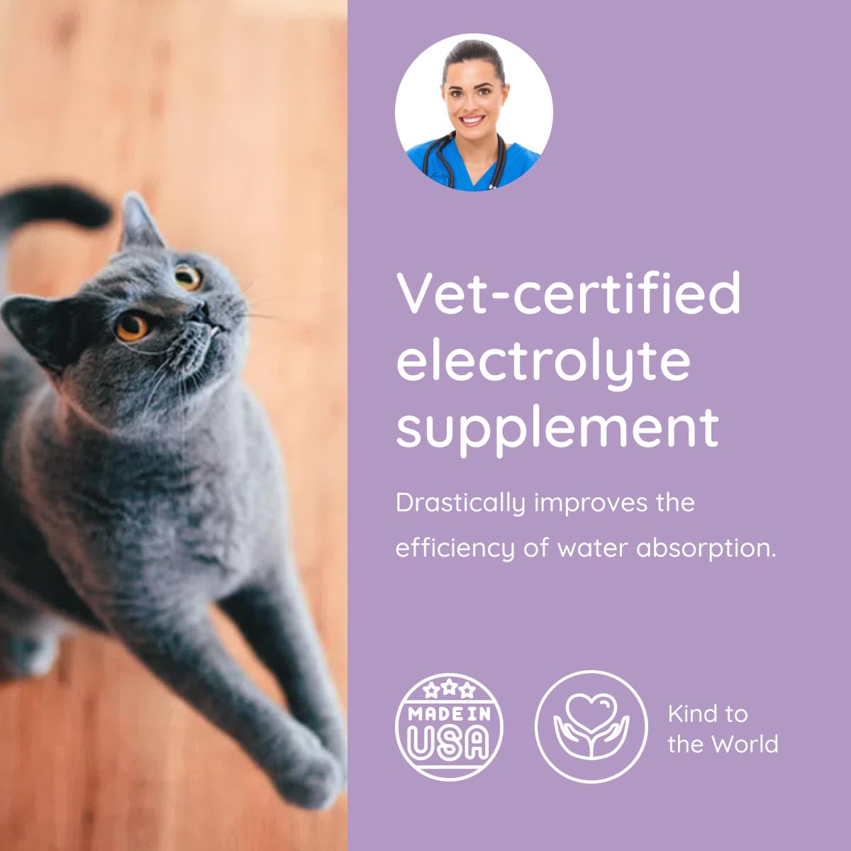 Petralyte cat prebiotic oligofructose inulin improves gut health and immunity