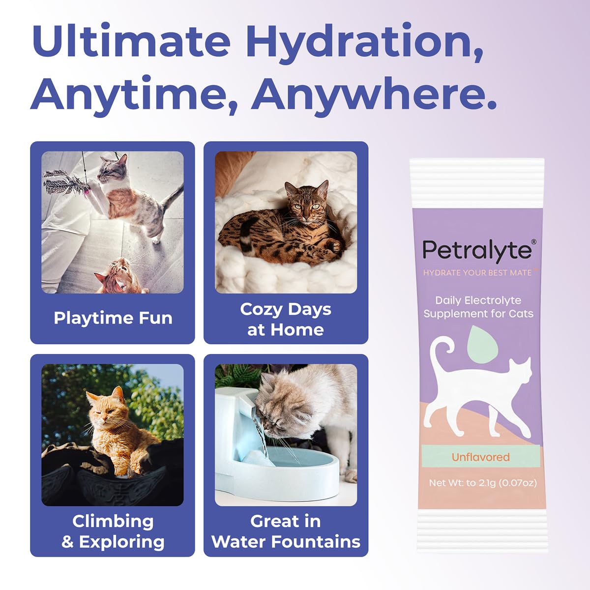 Petralyte cat tuna flavor sachets appealing hydration option for cats