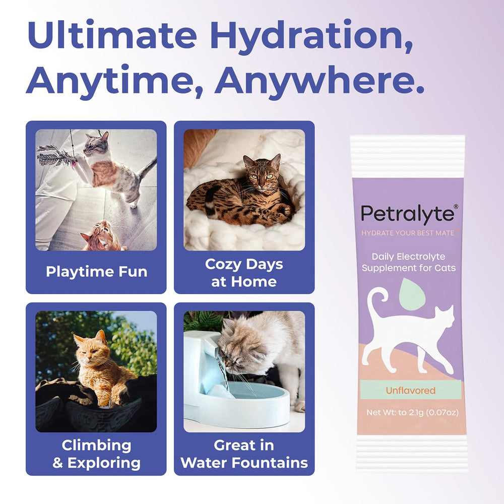 Petralyte cat tuna flavor sachets appealing hydration option for cats