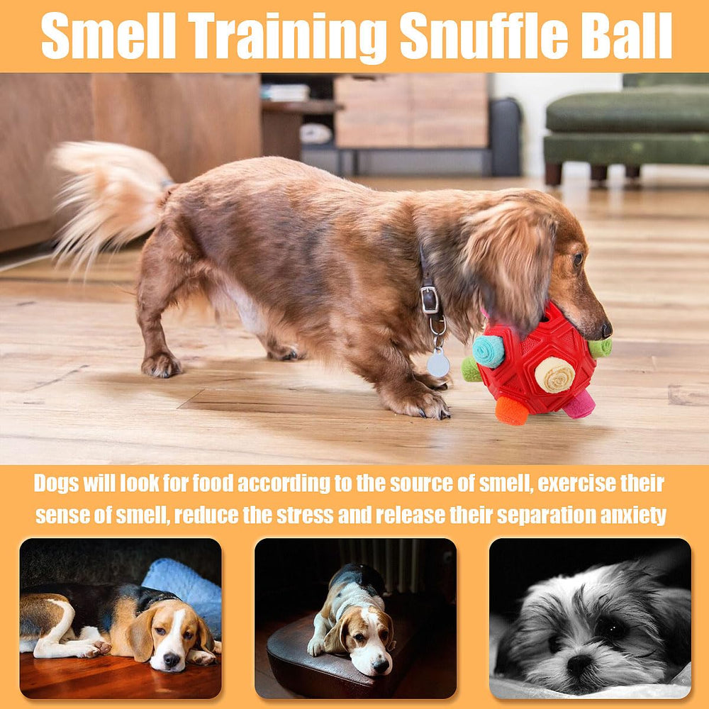 Petration Dog Snuffle Ball used outdoors for engaging play and mental stimulation