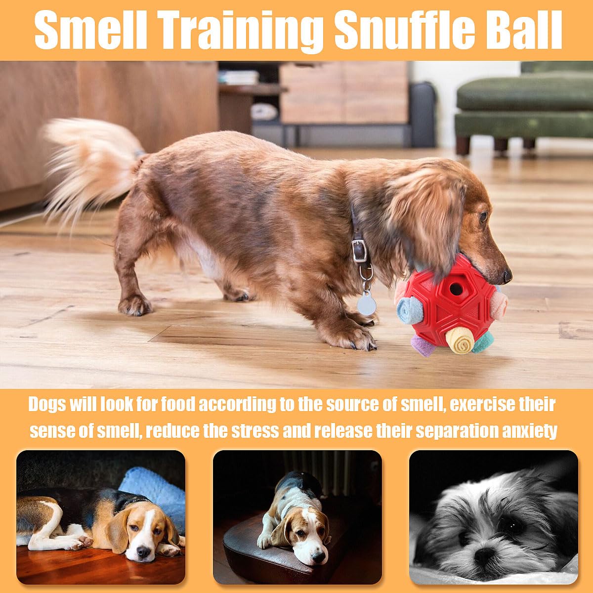 Petration Snuffle Ball used indoors during rainy day enrichment