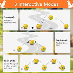 Petrendy ball bouncing mode promotes active play and exercise