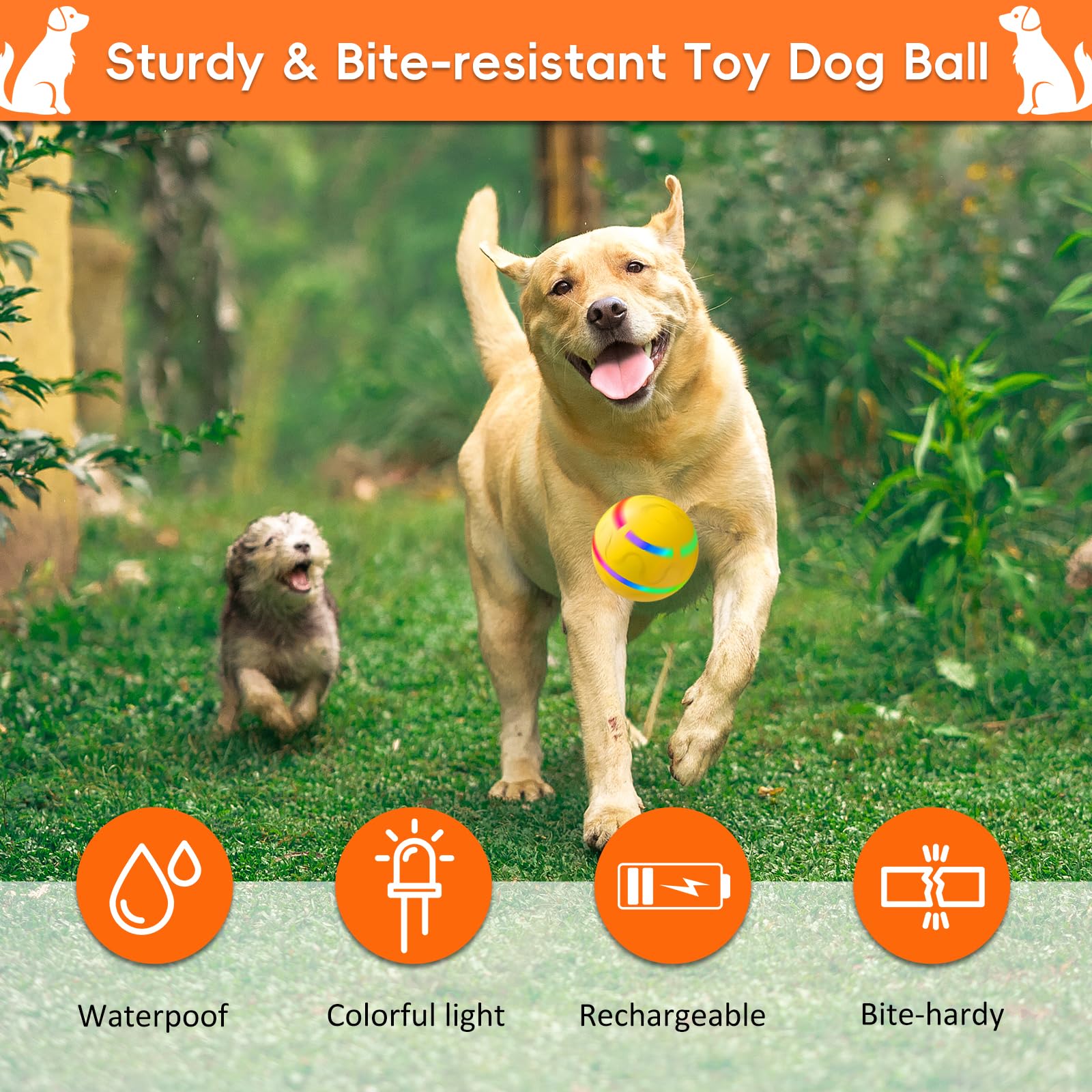 Petrendy chew-resistant TPU shell withstands curious chewers during play