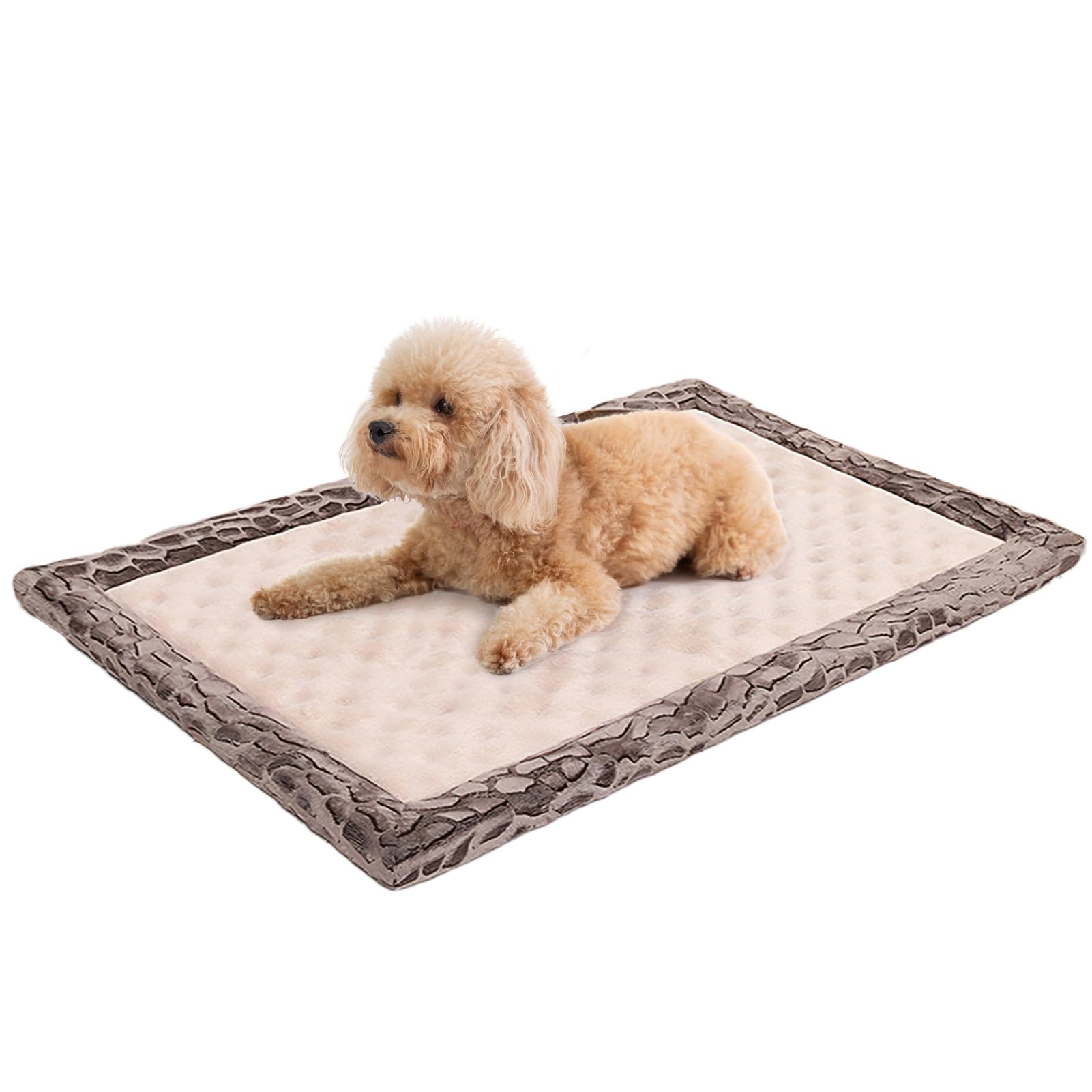 Petrendy dog crate pad top view shows cozy foam support.
