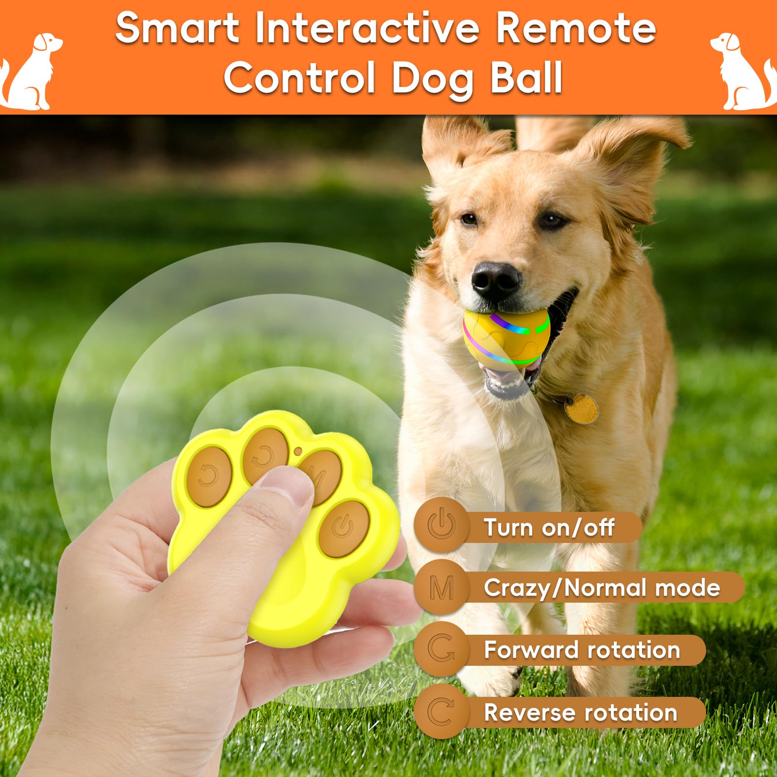 Petrendy dog toy LED lights attract attention during nighttime play