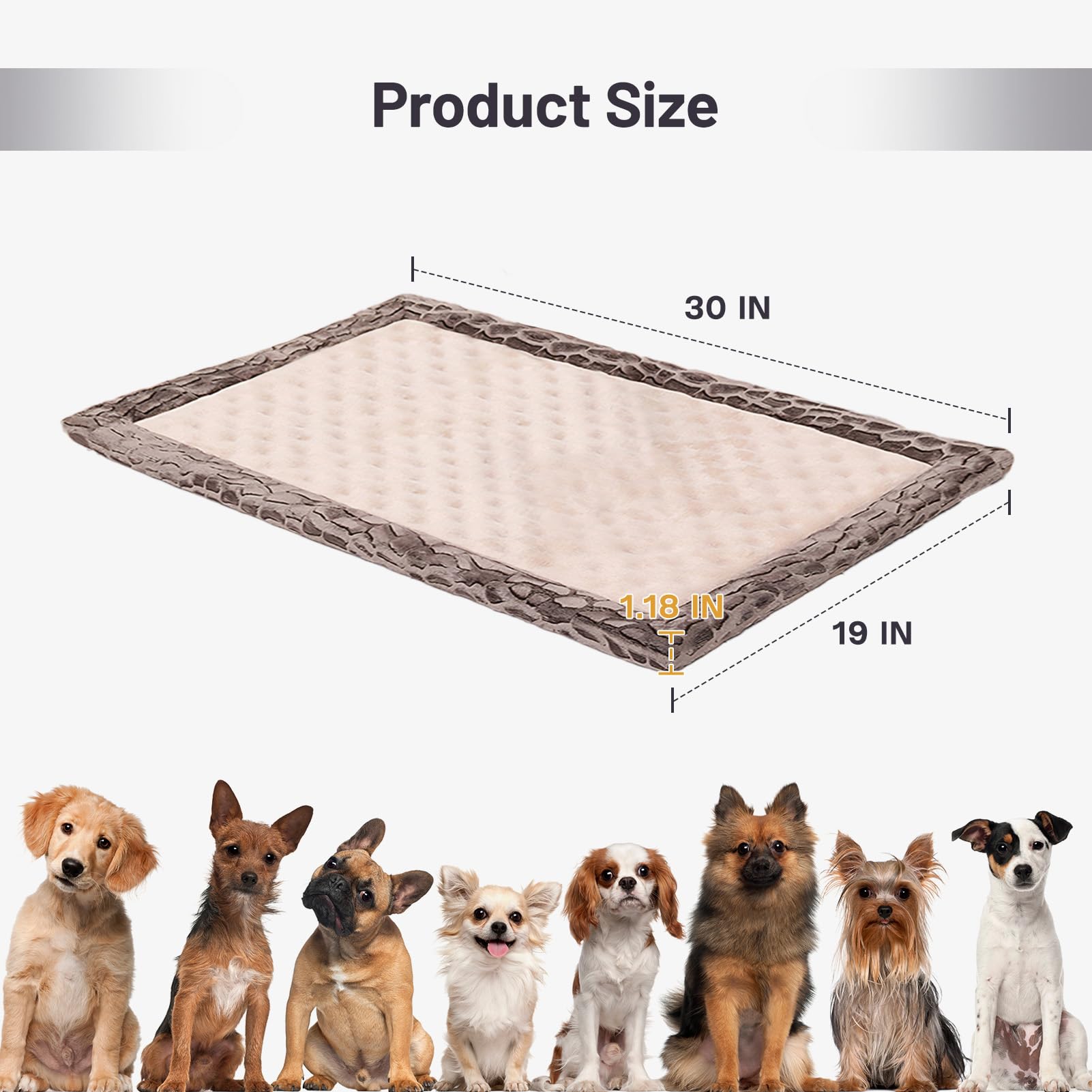 Petrendy indoor use scenario shows versatile placement.