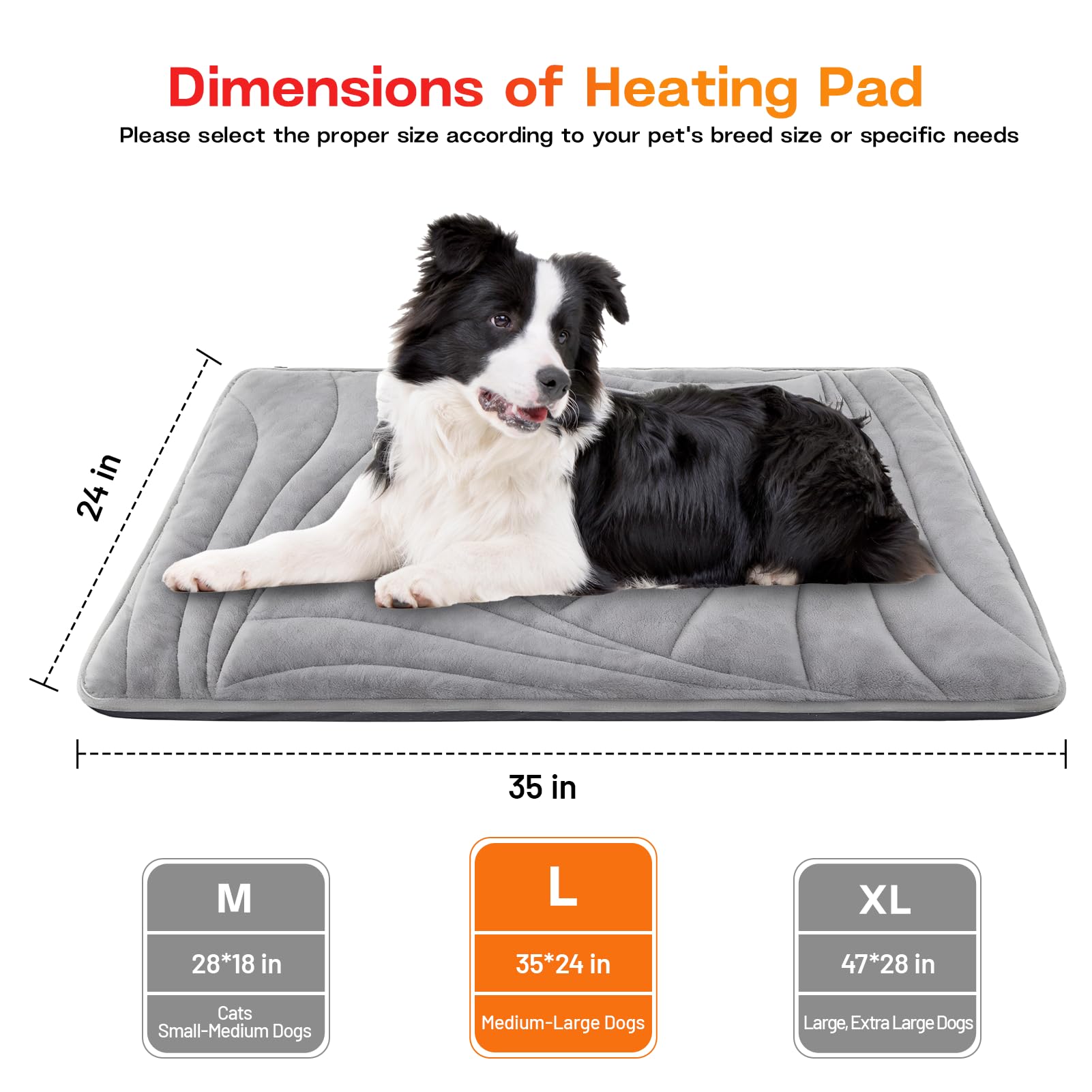 Petrendy multi-size options fit dogs and multi-pet households