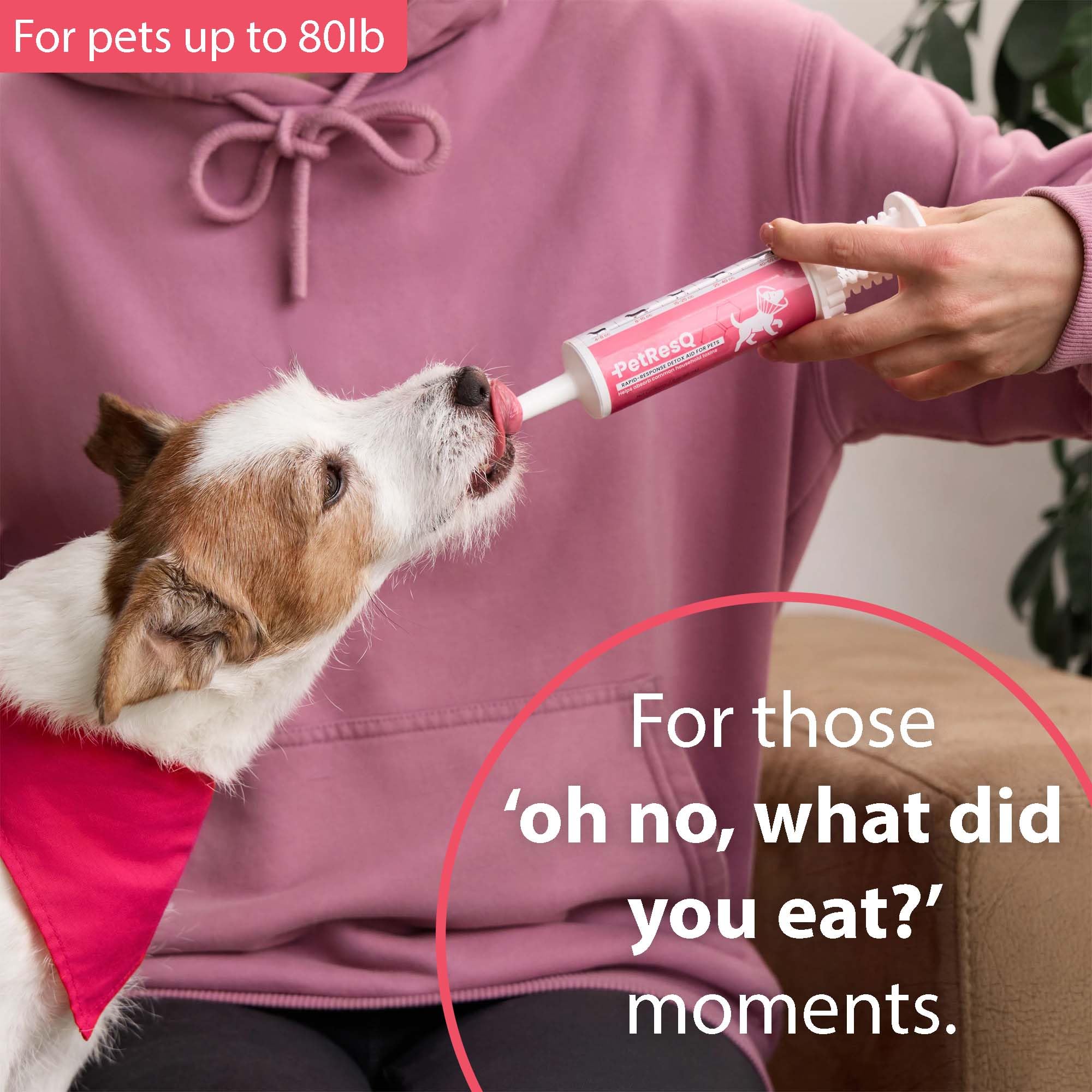 PetResQ emergency-detox-aid-ready image shows a ready-to-use first aid solution for ingestion.