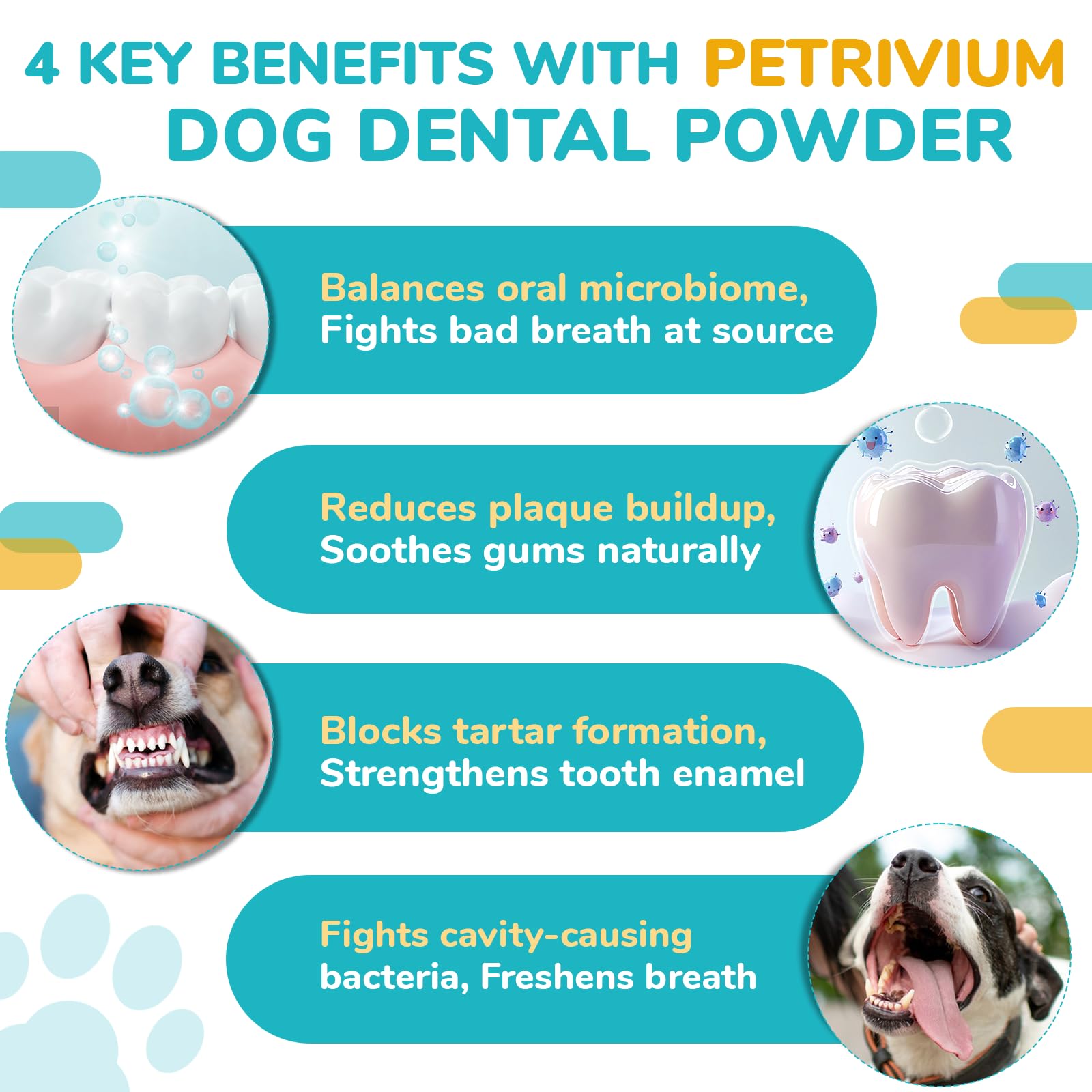 Petrivium dog breath freshness powered by probiotics and mint.