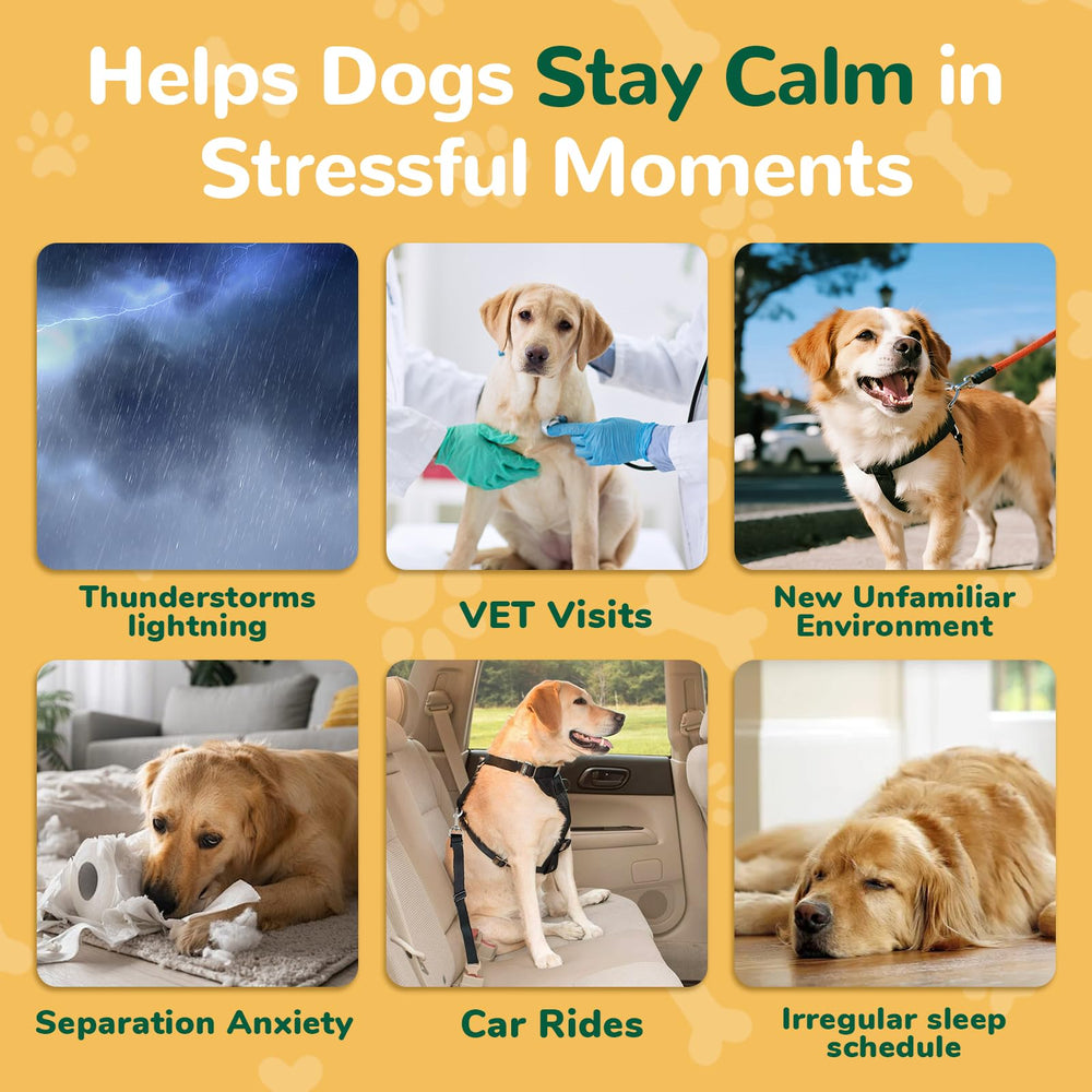 Petrivium dog car ride scene suggests easier travel with calming treats.