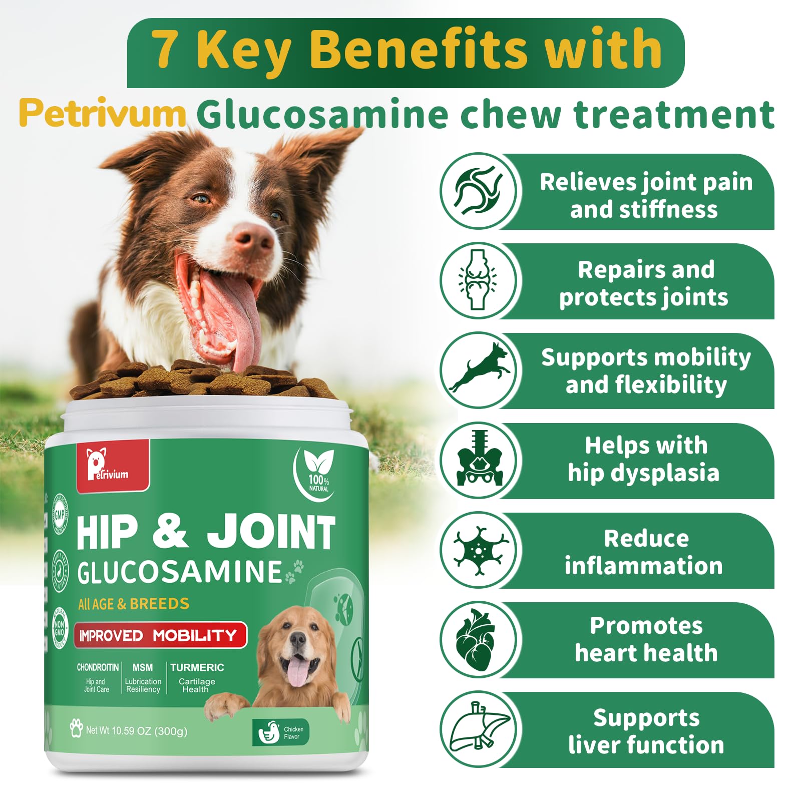 Petrivium dog hip joint chews chicken-flavor close-up highlighting tasty daily joint support.