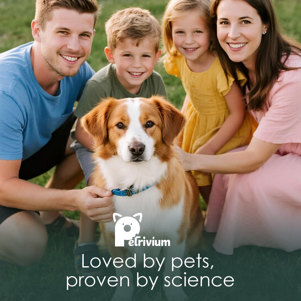 Petrivium dog multivitamin coat wellness image suggests improved skin and coat health.