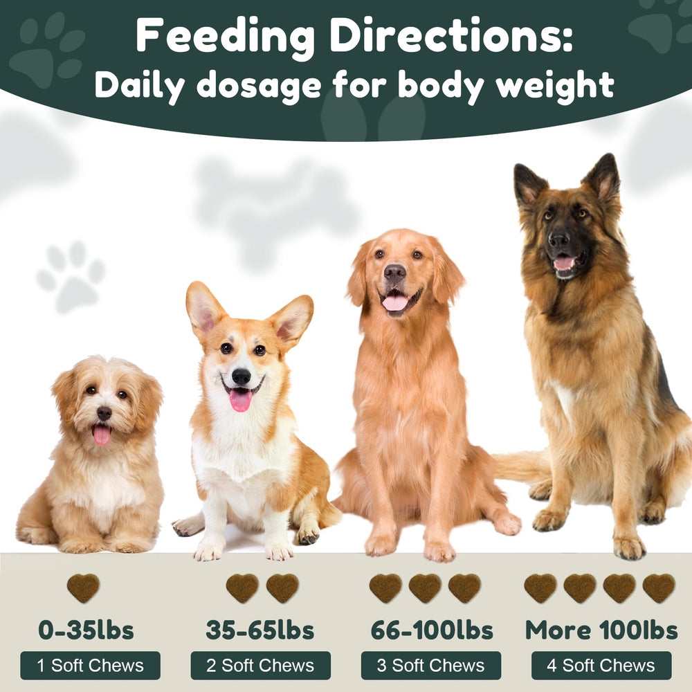 Petrivium dog multivitamin probiotics image emphasizes digestive balance and gut health support.
