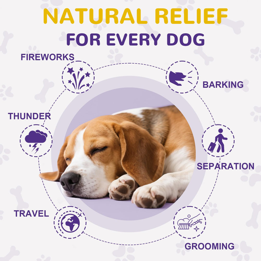 Petrivium dog thunder-stress scene illustrates thunder anxiety relief potential.