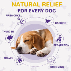 Petrivium dog thunder-stress scene illustrates thunder anxiety relief potential.