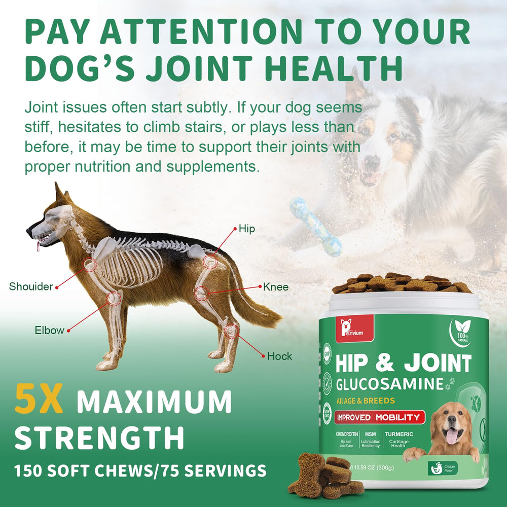Petrivium glucosamine-chondroitin dog chews close-up emphasizing cartilage health and mobility.