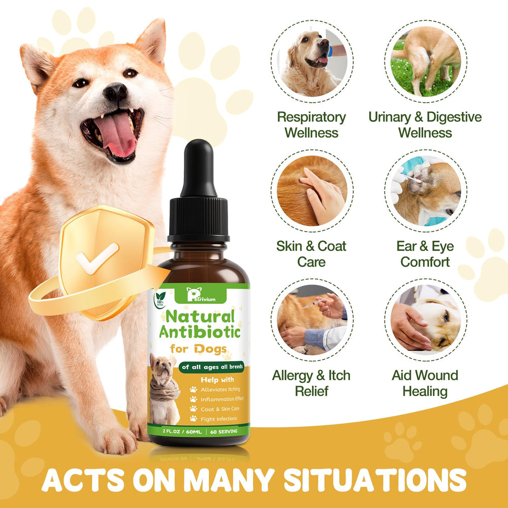Petrivium: gotas naturales para gatos, apoyo digestivo y bienestar.