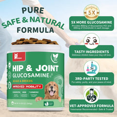 Petrivium green-lipped mussels dog joint supplement container image focusing on bone strength.