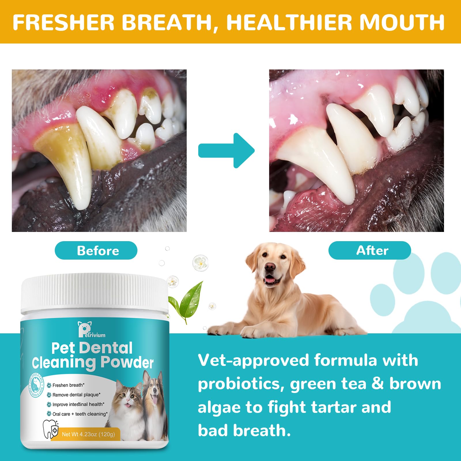 Petrivium 10-billion CFU dual-strain probiotics for oral health and gut balance.