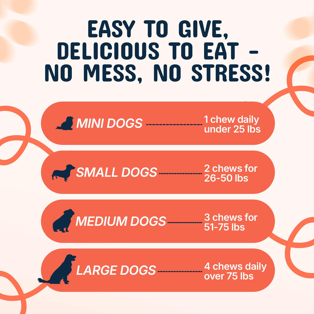 Pets Are Kids Too daily wellness chews in use during a dog’s routine.