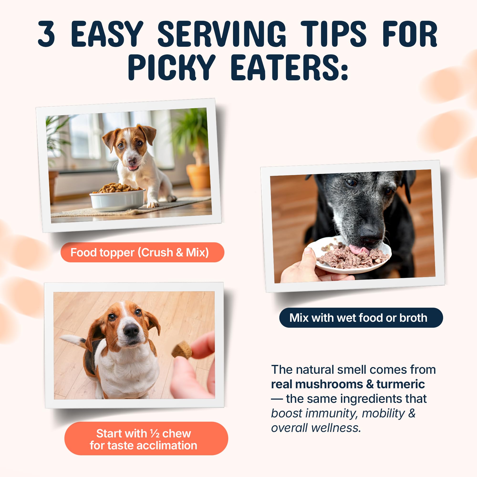 Pets Are Kids Too ingredient blend image featuring shiitake maitake and turmeric for gut health.