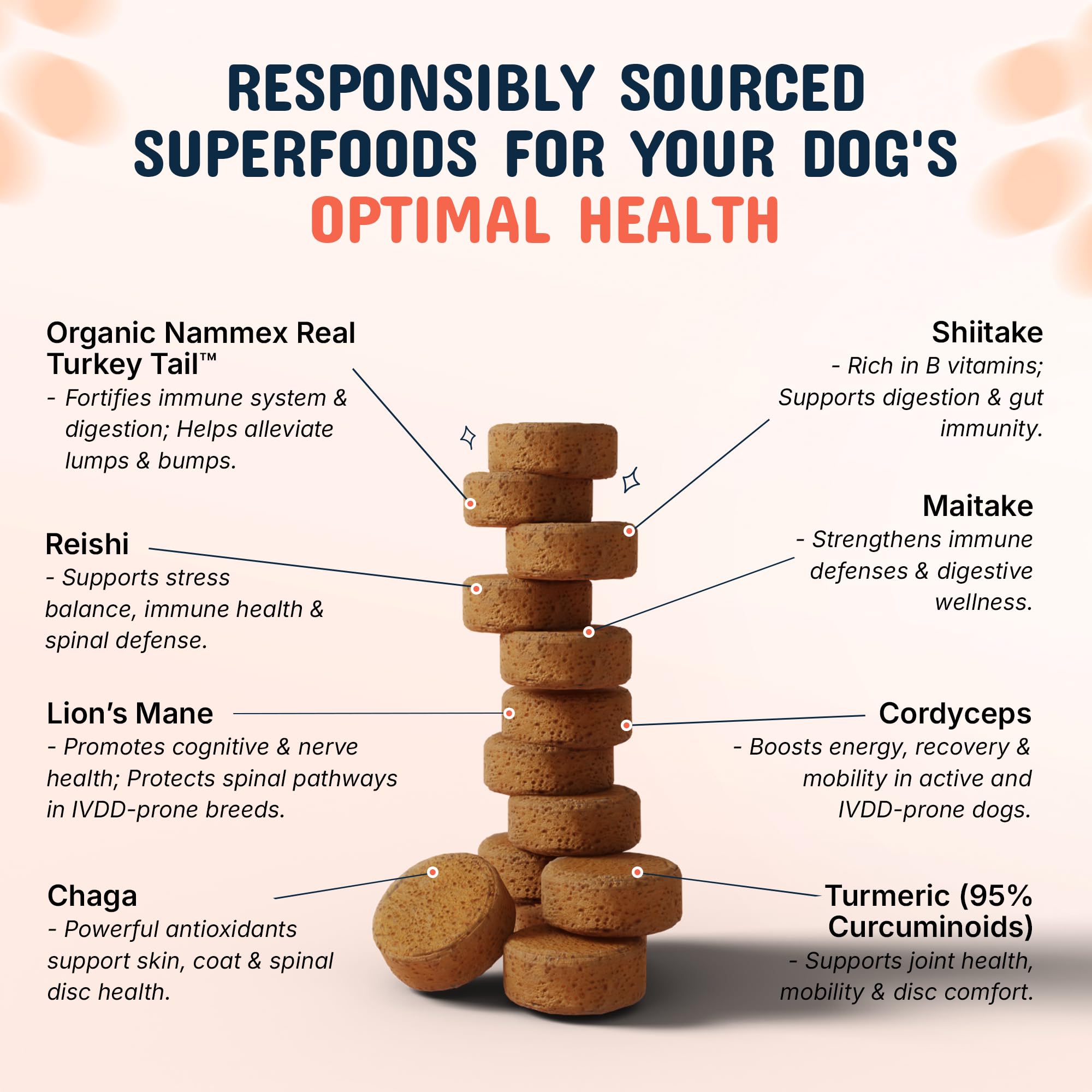Pets Are Kids Too real turkey tail mushrooms image highlighting real ingredients for immune support.