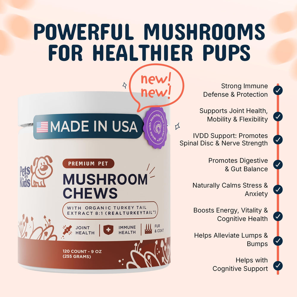 Pets Are Kids Too turkey tail dog chews closeup with soft texture ideal for daily mobility support.