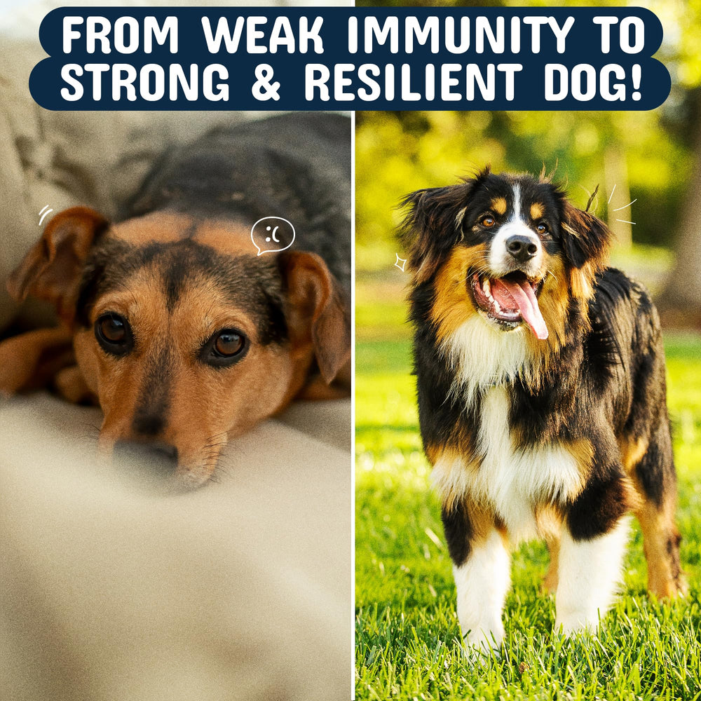 Pets Are Kids Too vet-formulated chews USA for clean ingredients and trusted production.