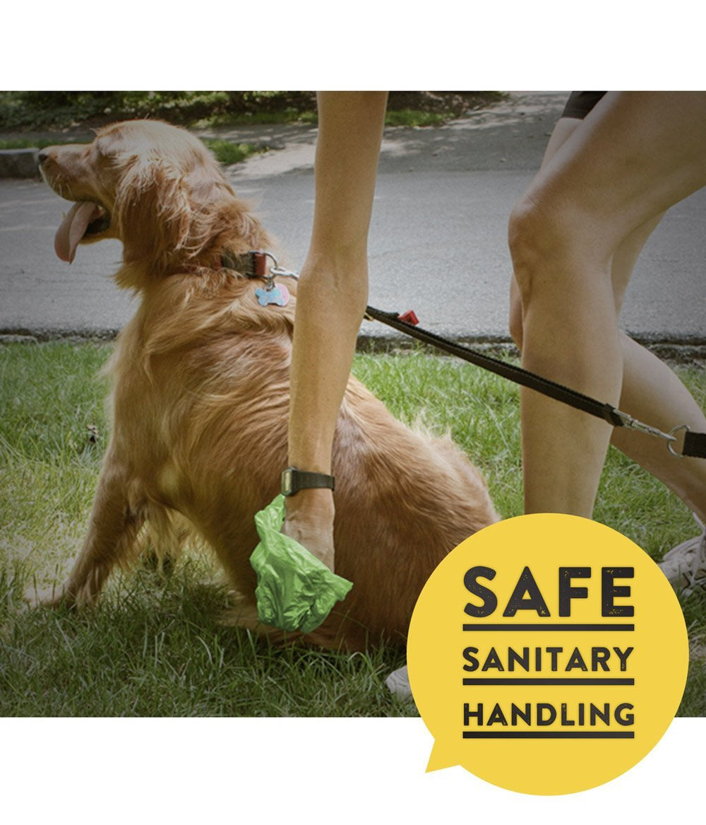 Pets N Bags dispenser compatibility with standard leashes.