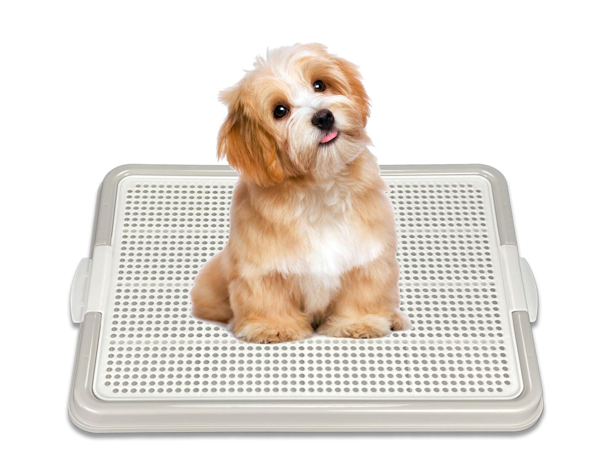 Pets-N-Me dog pee pad holder top view shows secure pad tray for stable placement.